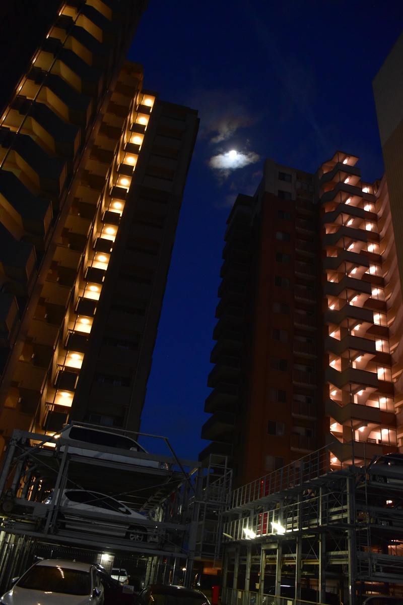 c0049299_2325439.jpg