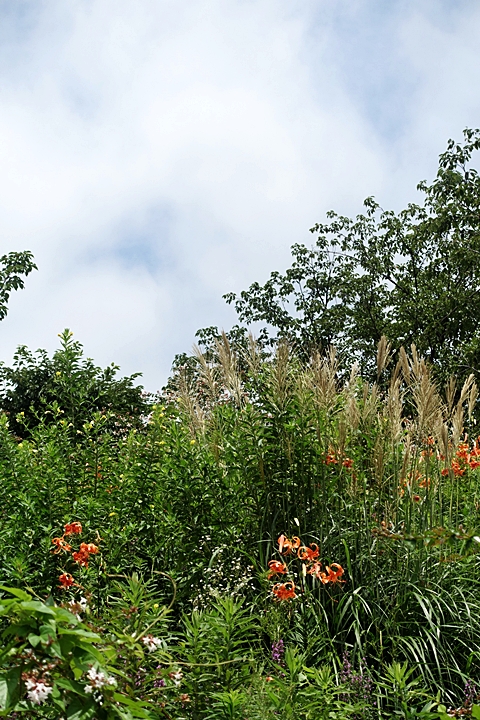 e0277800_1827150.jpg