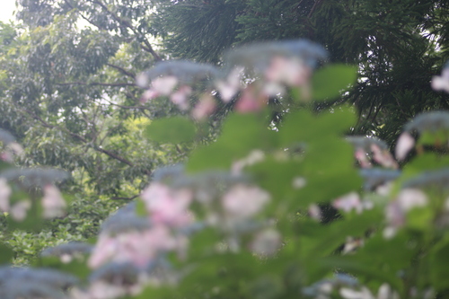 c0075701_12232560.jpg