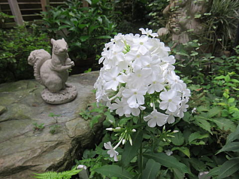 d0046702_21181992.jpg