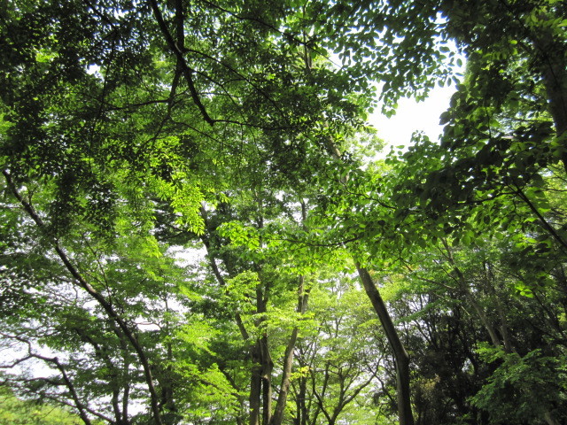 c0365706_21095735.jpg