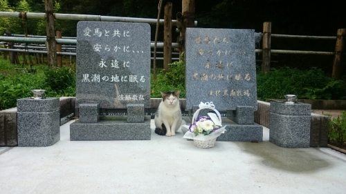 b0187620_21171931.jpg