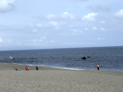 a0105023_157198.jpg