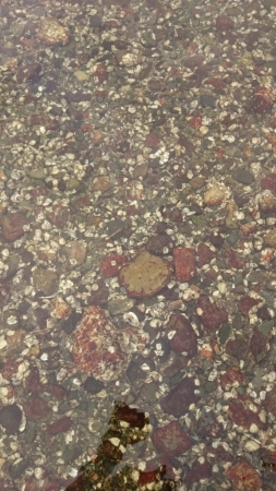 b0259124_23555616.jpg