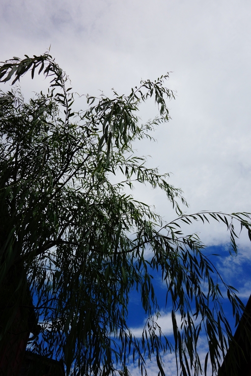 a0287336_19231939.jpg