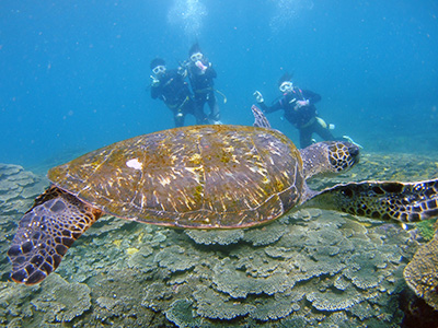 b0189640_13402972.jpg