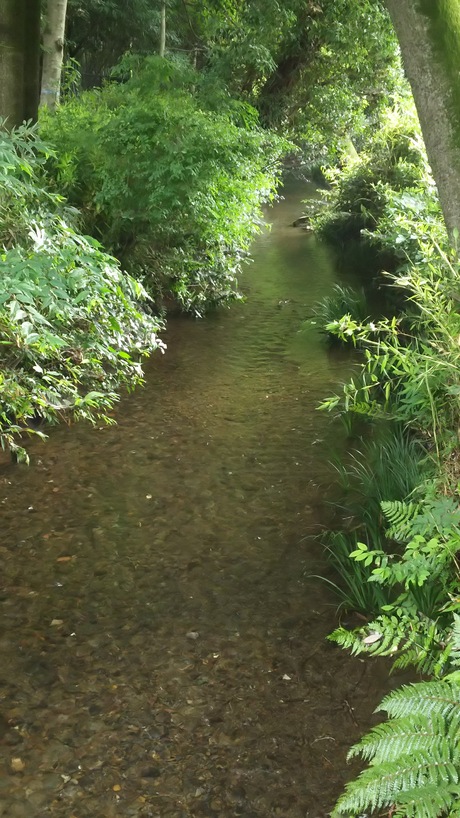 b0097747_21314493.jpg