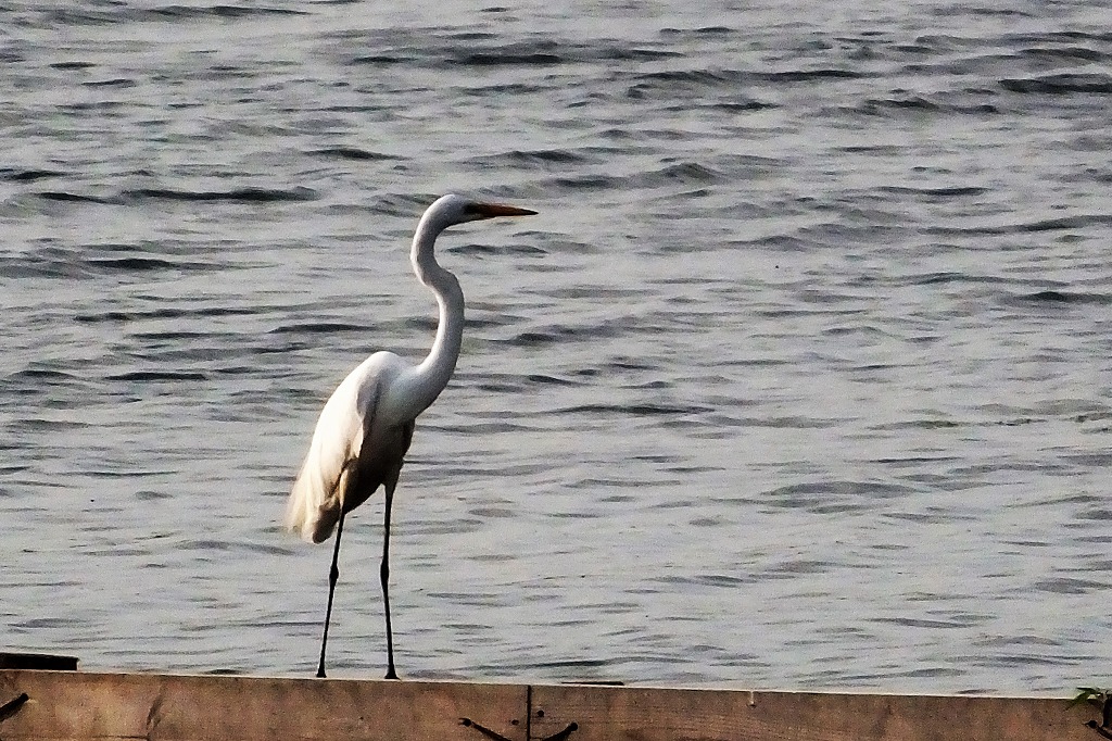 b0236251_11124776.jpg