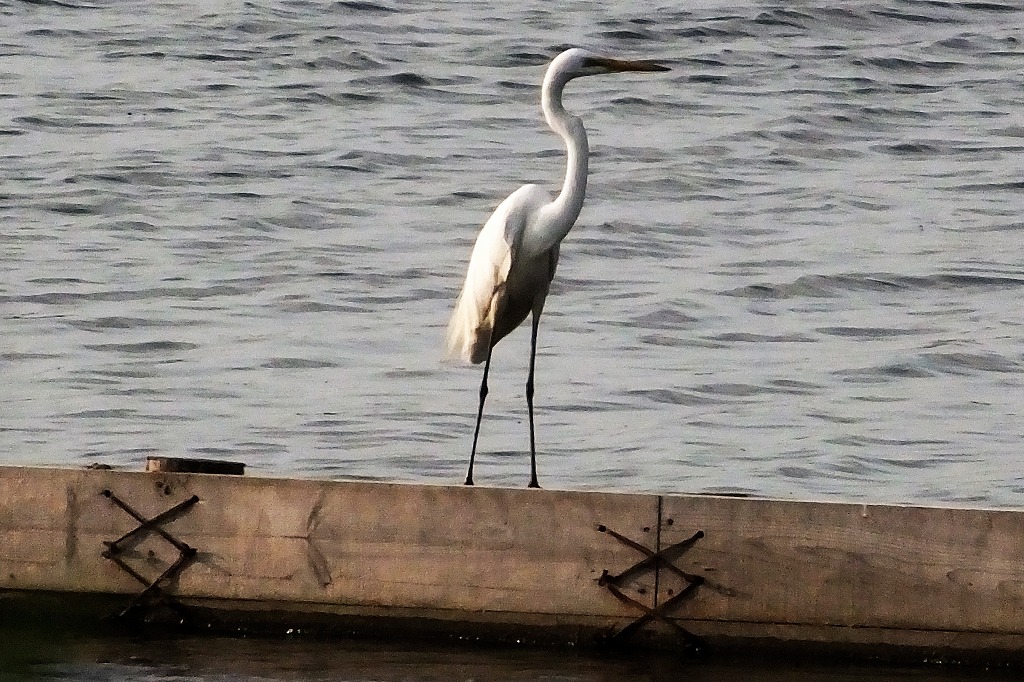 b0236251_11125514.jpg