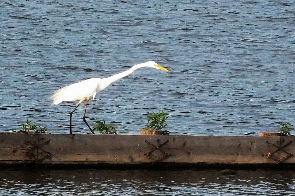 b0236251_1114132.jpg
