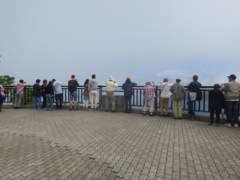f0202151_21524871.jpg