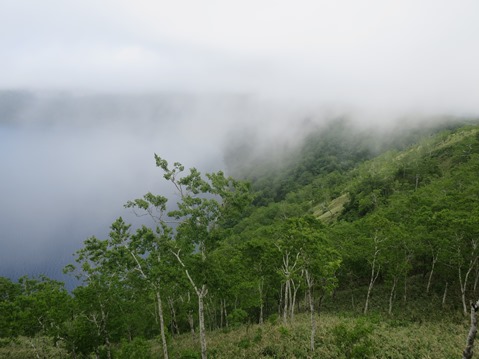 f0202151_21544585.jpg