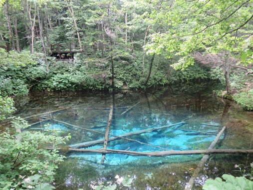 f0202151_2261243.jpg