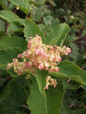 f0043559_14171499.jpg