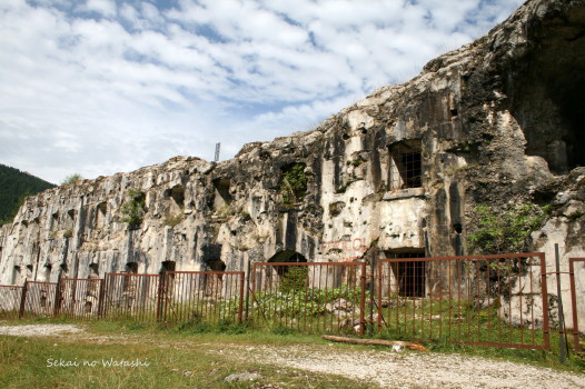 f0077159_22472098.jpg