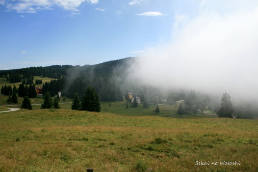 f0077159_2247619.jpg