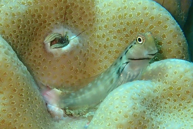 b0062363_17435988.jpg