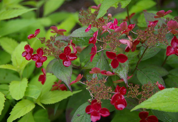 b0075364_750732.jpg