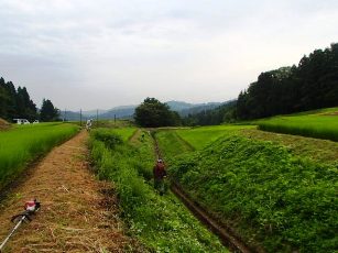 b0079965_4474018.jpg