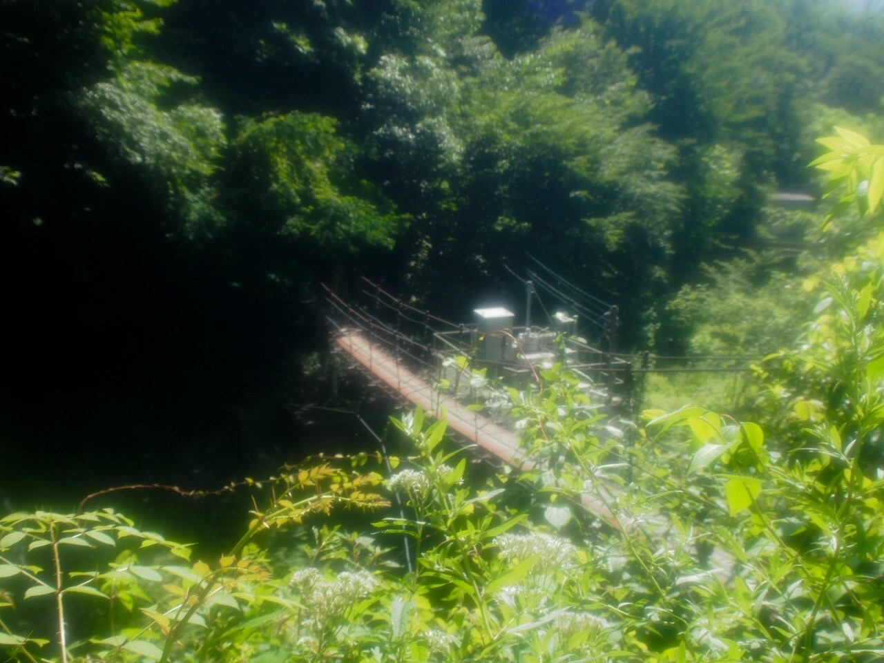 c0321967_19414369.jpeg