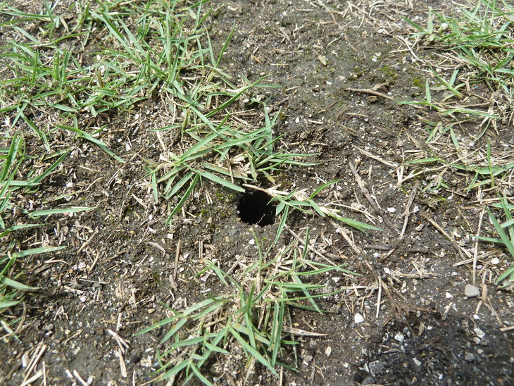 e0278968_22222996.jpg