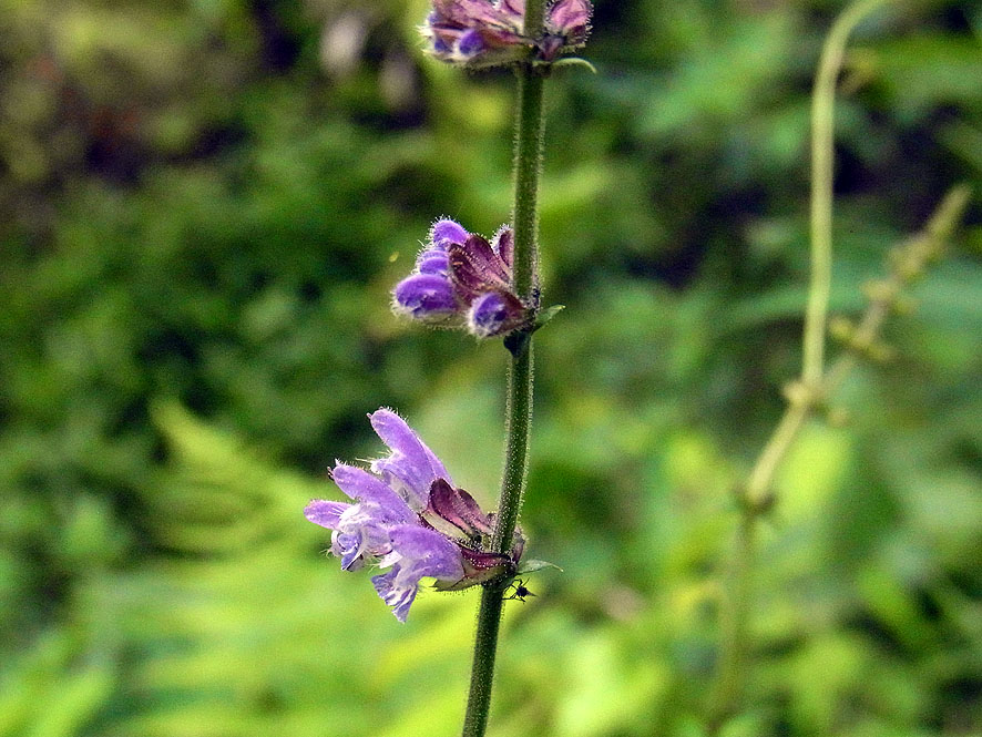 f0131669_83943100.jpg