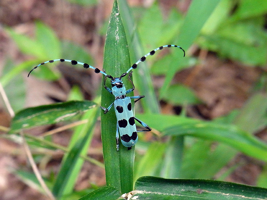 f0131669_8523363.jpg