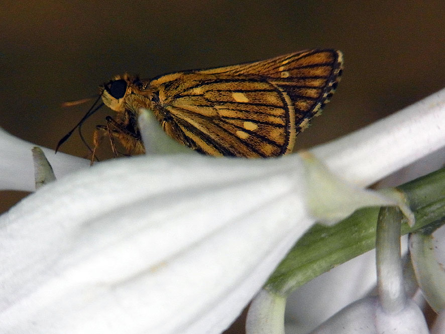 f0131669_854483.jpg