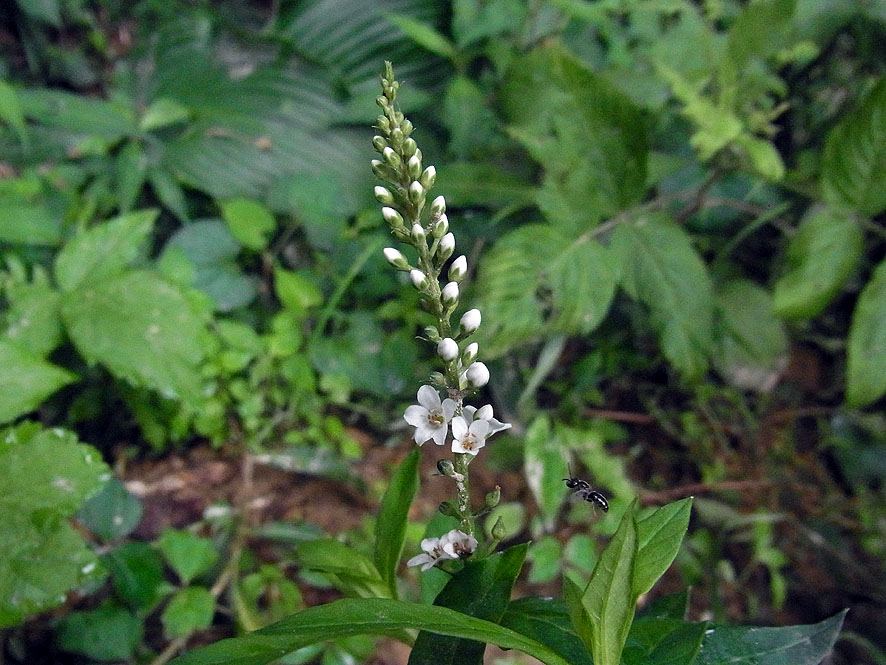 f0131669_8554212.jpg