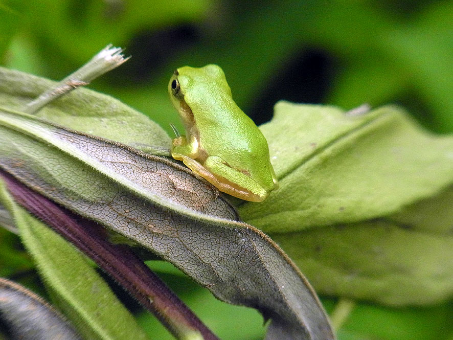 f0131669_911064.jpg