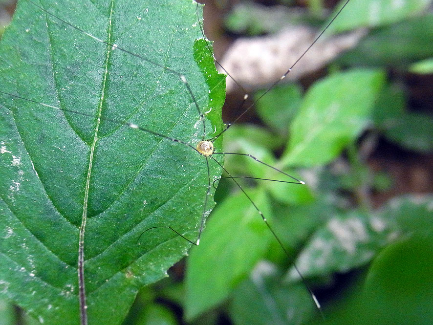 f0131669_912615.jpg