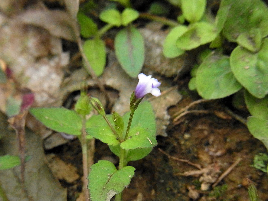 f0131669_943029.jpg