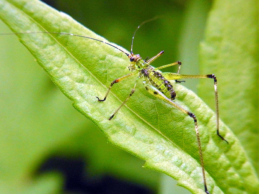 f0131669_96061.jpg