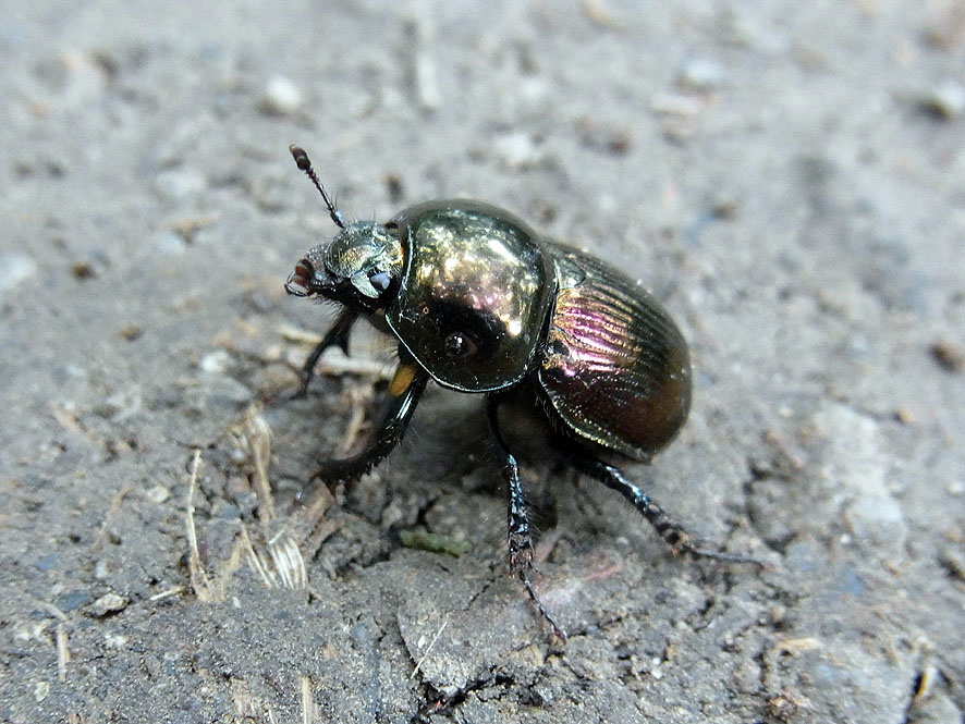 f0131669_99045.jpg