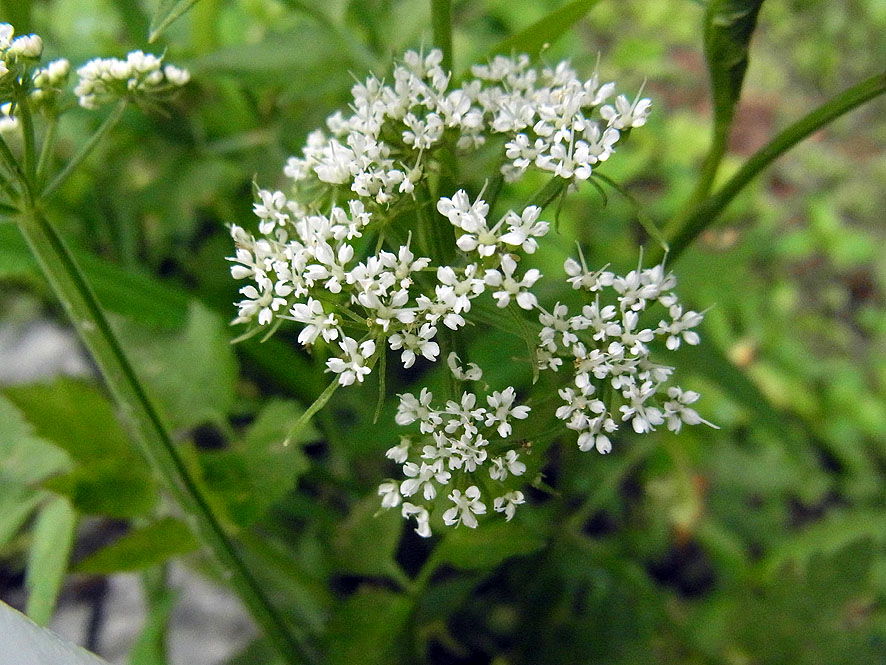 f0131669_992257.jpg