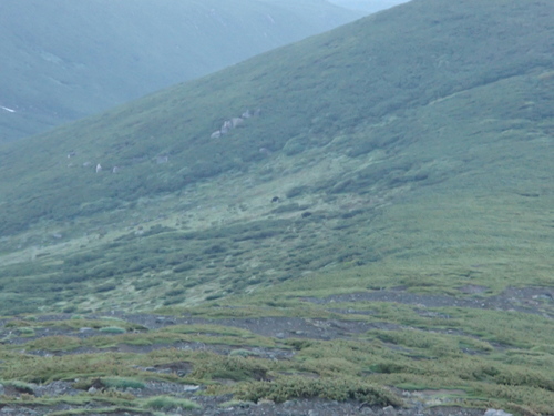f0130376_1333281.jpg