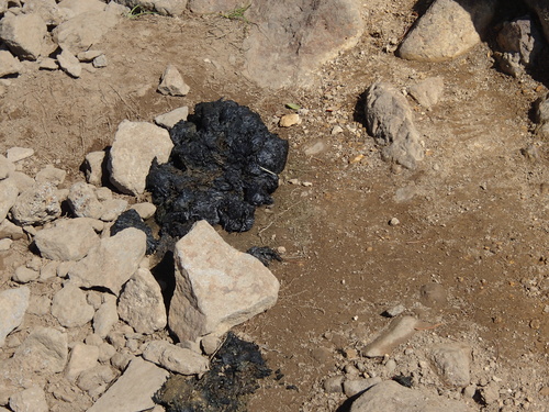 f0130376_1340404.jpg