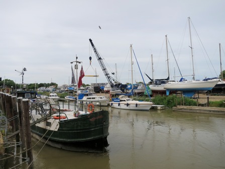 a0208783_326399.jpg