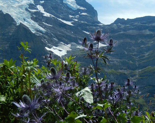 c0144185_15251349.jpg