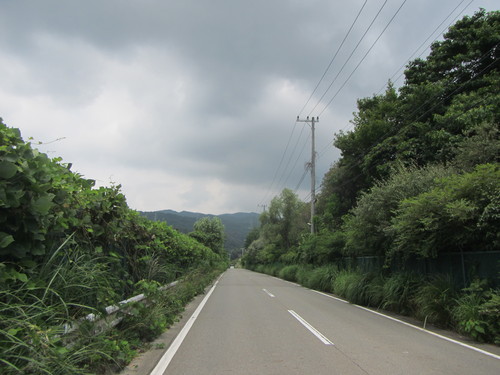 a0251786_20355314.jpg