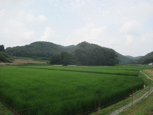 a0251786_20373841.jpg