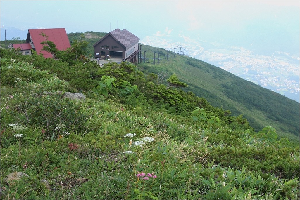 d0130286_234699.jpg