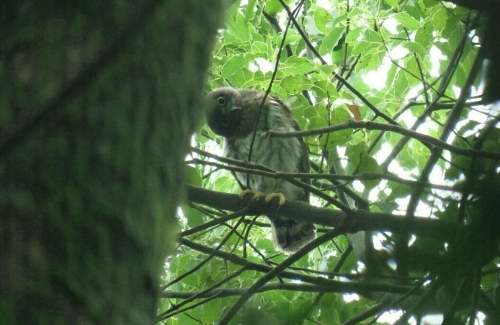 e0357387_13424080.jpg