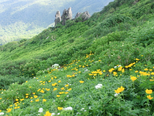 d0353091_10222610.jpg
