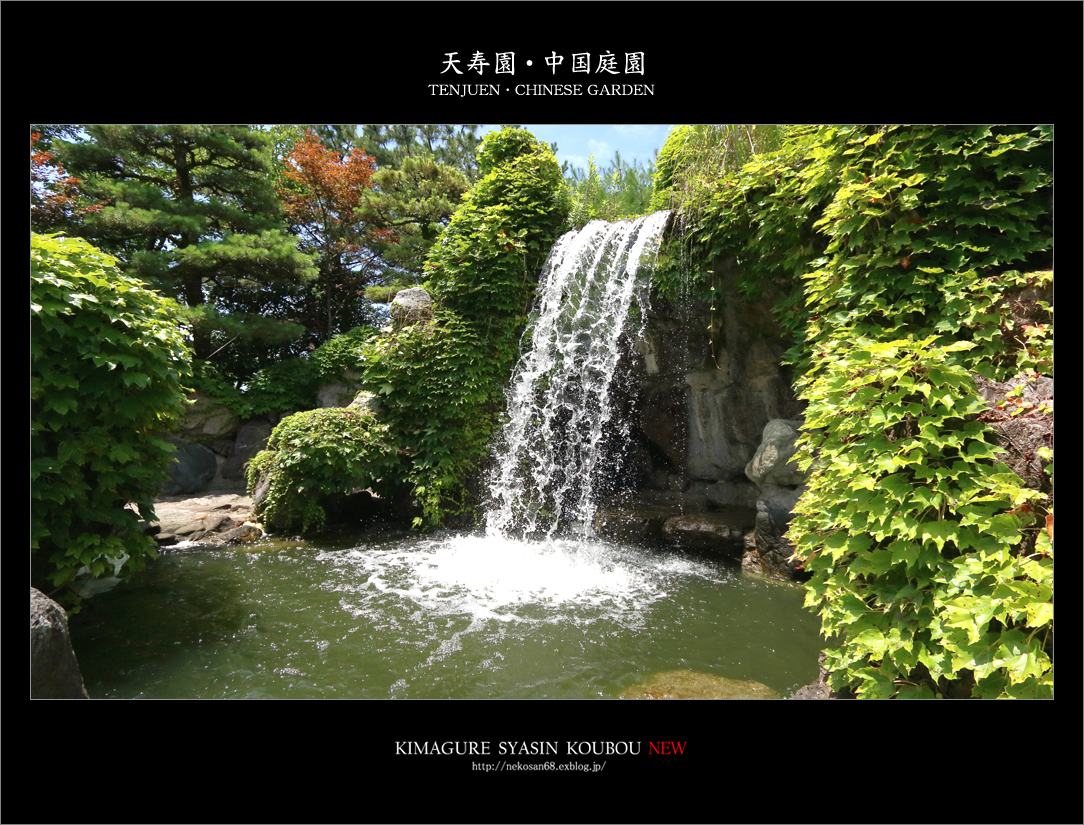 d0353401_17253161.jpg