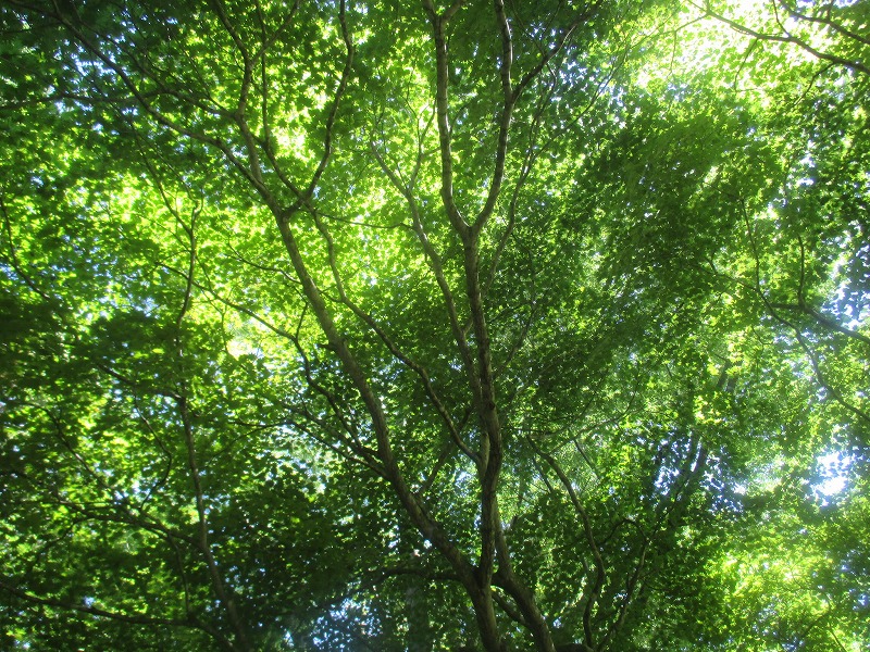 f0202703_23344711.jpg