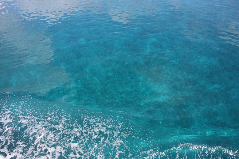 d0136804_11231943.jpg