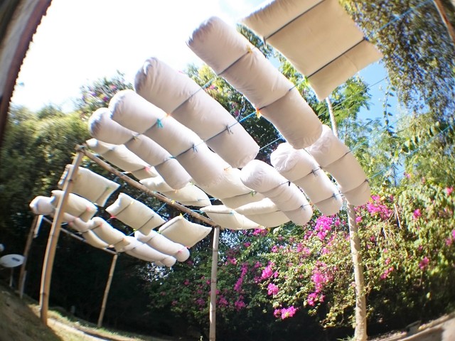 c0211615_128185.jpg