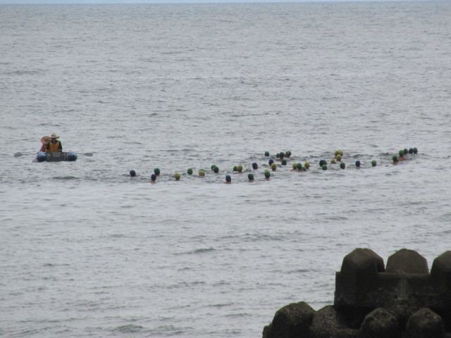 f0341616_15593577.jpg
