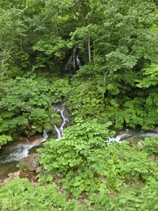 a0105023_11194533.jpg